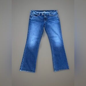 Silver Jeans Co. Womens Tuesday Low Rise Slim Bootcut Jeans Sz 34” x 31” GUC